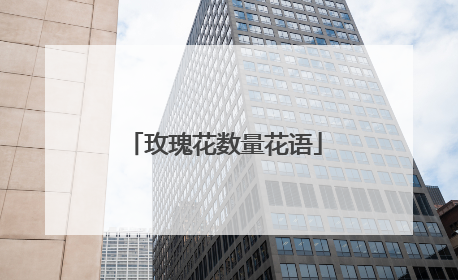 玫瑰花数量花语