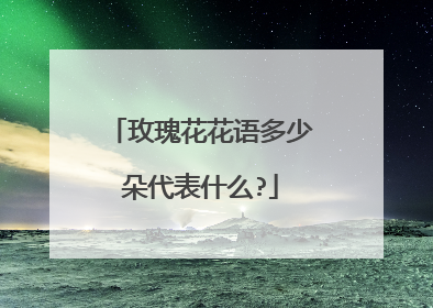 玫瑰花花语多少朵代表什么?