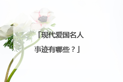 现代爱国名人事迹有哪些?