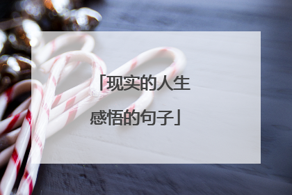 现实的人生感悟的句子