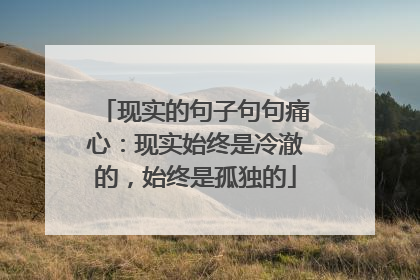 现实的句子句句痛心：现实始终是冷澈的，始终是孤独的