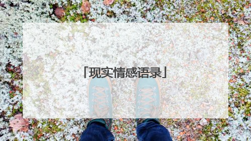 现实情感语录