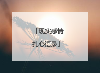 现实感情扎心语录