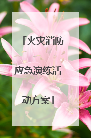 火灾消防应急演练活动方案