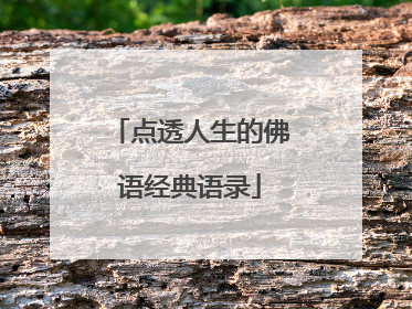 点透人生的佛语经典语录
