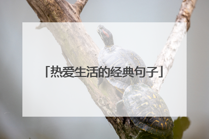 热爱生活的经典句子