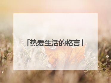 热爱生活的格言