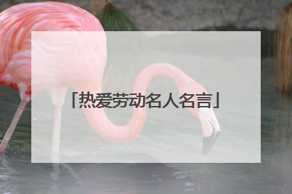 热爱劳动名人名言