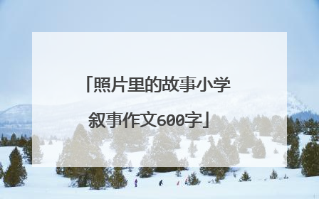 照片里的故事小学叙事作文600字