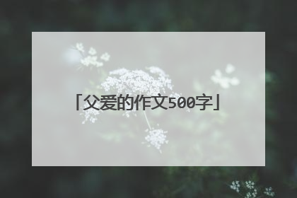 父爱的作文500字