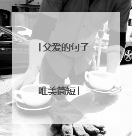 父爱的句子唯美简短