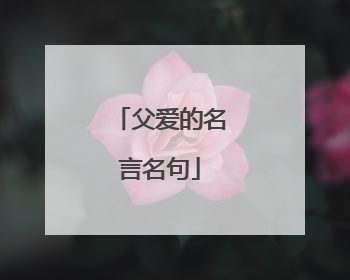 父爱的名言名句