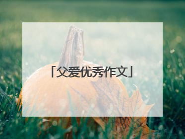 父爱优秀作文