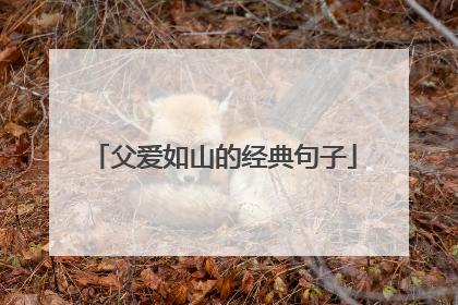 父爱如山的经典句子