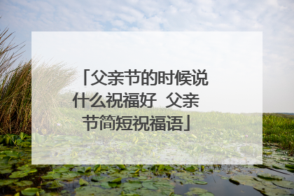 父亲节的时候说什么祝福好 父亲节简短祝福语