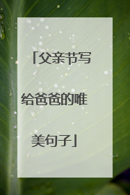 父亲节写给爸爸的唯美句子