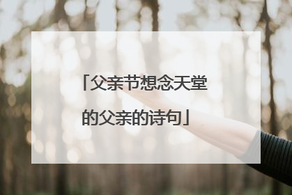 父亲节想念天堂的父亲的诗句