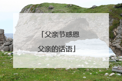 父亲节感恩父亲的话语