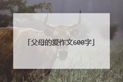 父母的爱作文600字
