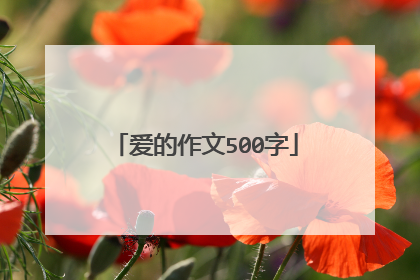 爱的作文500字