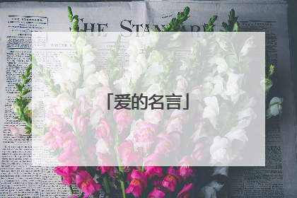 爱的名言