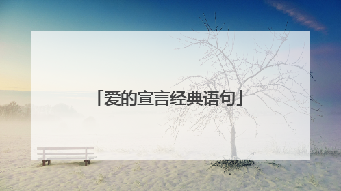 爱的宣言经典语句