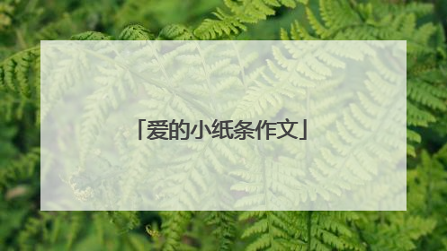 爱的小纸条作文