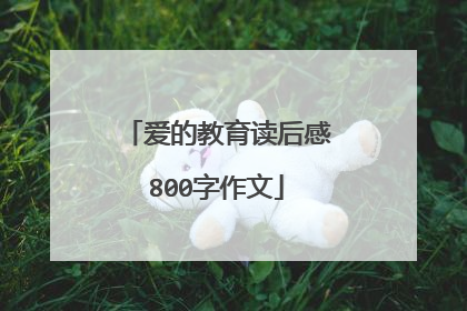 爱的教育读后感800字作文
