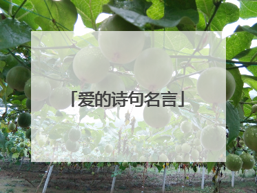 爱的诗句名言