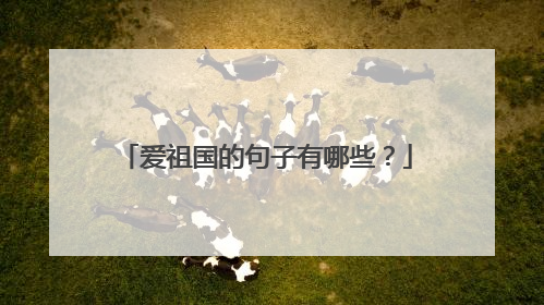 爱祖国的句子有哪些?