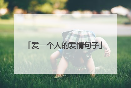 爱一个人的爱情句子