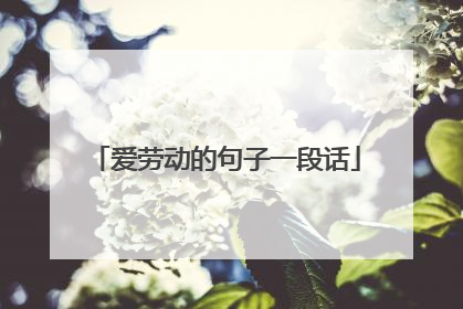 爱劳动的句子一段话