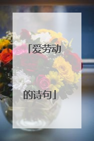 爱劳动的诗句