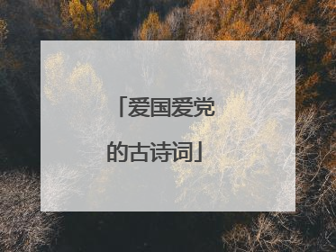 爱国爱党的古诗词