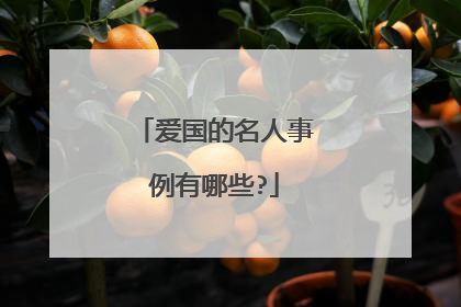 爱国的名人事例有哪些?