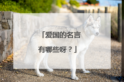 爱国的名言有哪些呀？