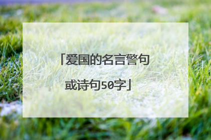 爱国的名言警句或诗句50字