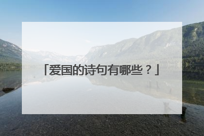 爱国的诗句有哪些?