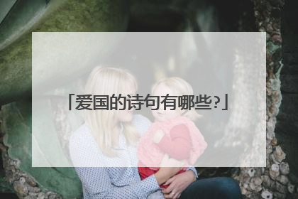 爱国的诗句有哪些?
