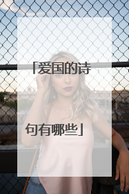 爱国的诗句有哪些