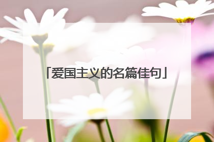 爱国主义的名篇佳句