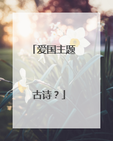 爱国主题古诗?