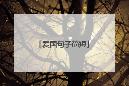 爱国句子简短