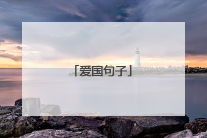 爱国句子