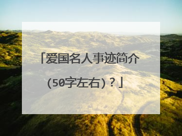 爱国名人事迹简介(50字左右)?