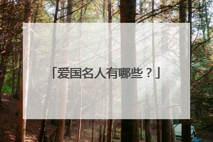 爱国名人有哪些?