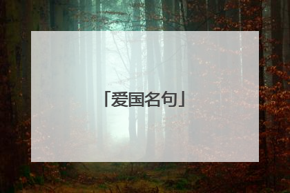 爱国名句