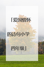 爱国情怀的诗句小学四年级