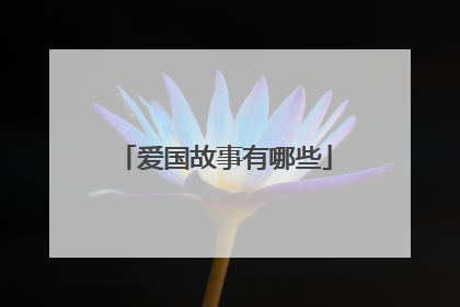爱国故事有哪些