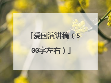 爱国演讲稿（500字左右）